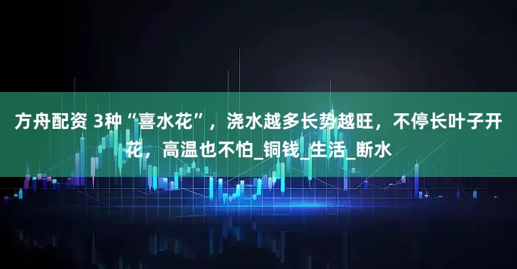 方舟配资 3种“喜水花”，浇水越多长势越旺，不停长叶子开花，高温也不怕_铜钱_生活_断水