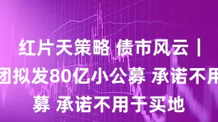 红片天策略 债市风云｜金隅集团拟发80亿小公募 承诺不用于买地