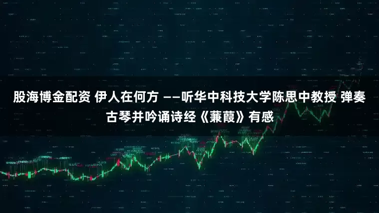 股海博金配资 伊人在何方 ——听华中科技大学陈思中教授 弹奏古琴并吟诵诗经《蒹葭》有感