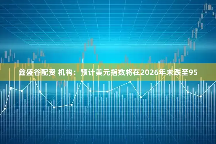 鑫盛谷配资 机构：预计美元指数将在2026年末跌至95